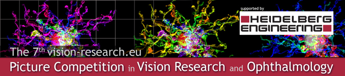 Heidelberg_Picture_Competition_2015