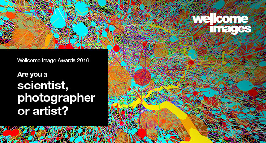 Wellcome_Images_Awards_2016