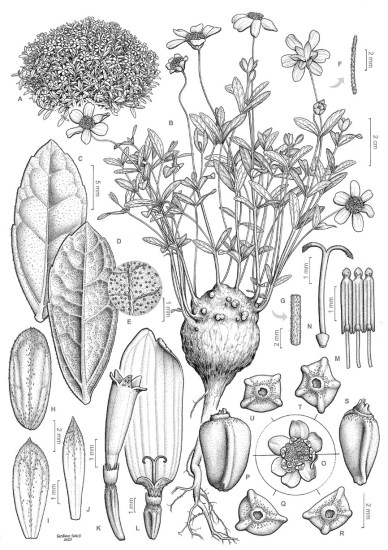 2024-AIMBI-VIC-Forensic_Meeting-March7-invite